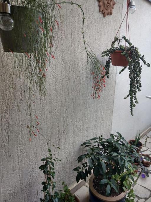 Guest House More Ριέκα Εξωτερικό φωτογραφία